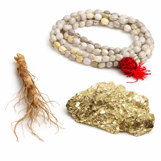 Money Magnet Combo ⭐